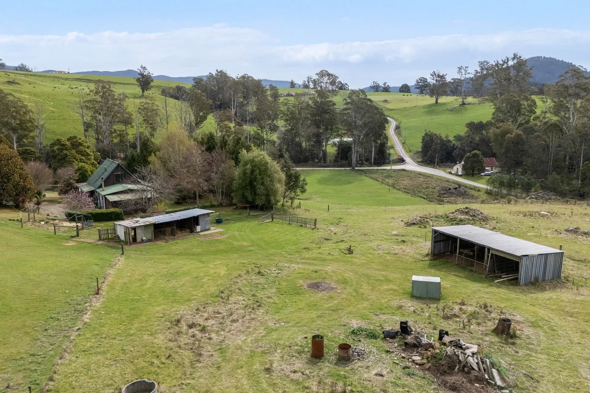 11 Maurice Road - Image 5