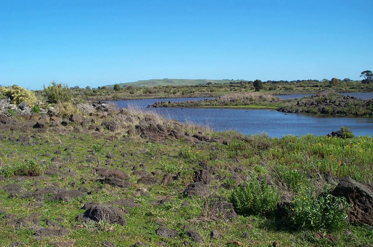 110 Duckholes Road - Image 5