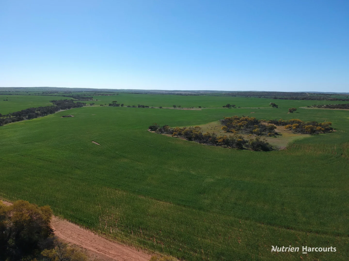 1141 Arrinooka Road - Image 4