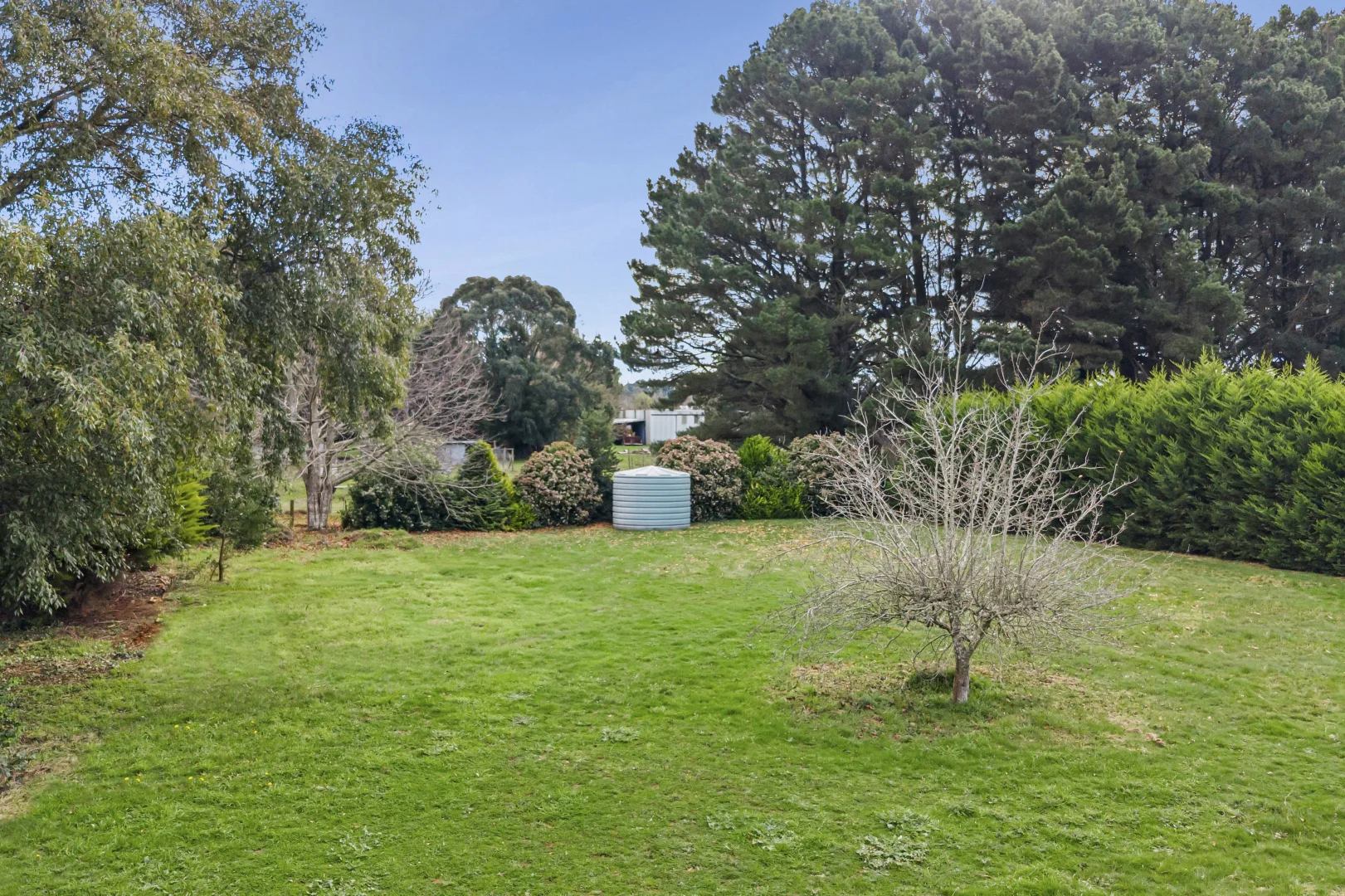 11A Groves Street - Image 4
