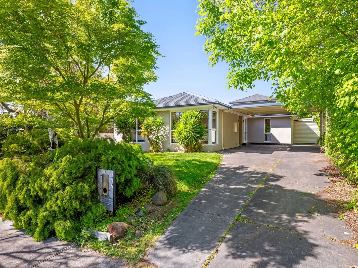 12 Davison Street (1/13)