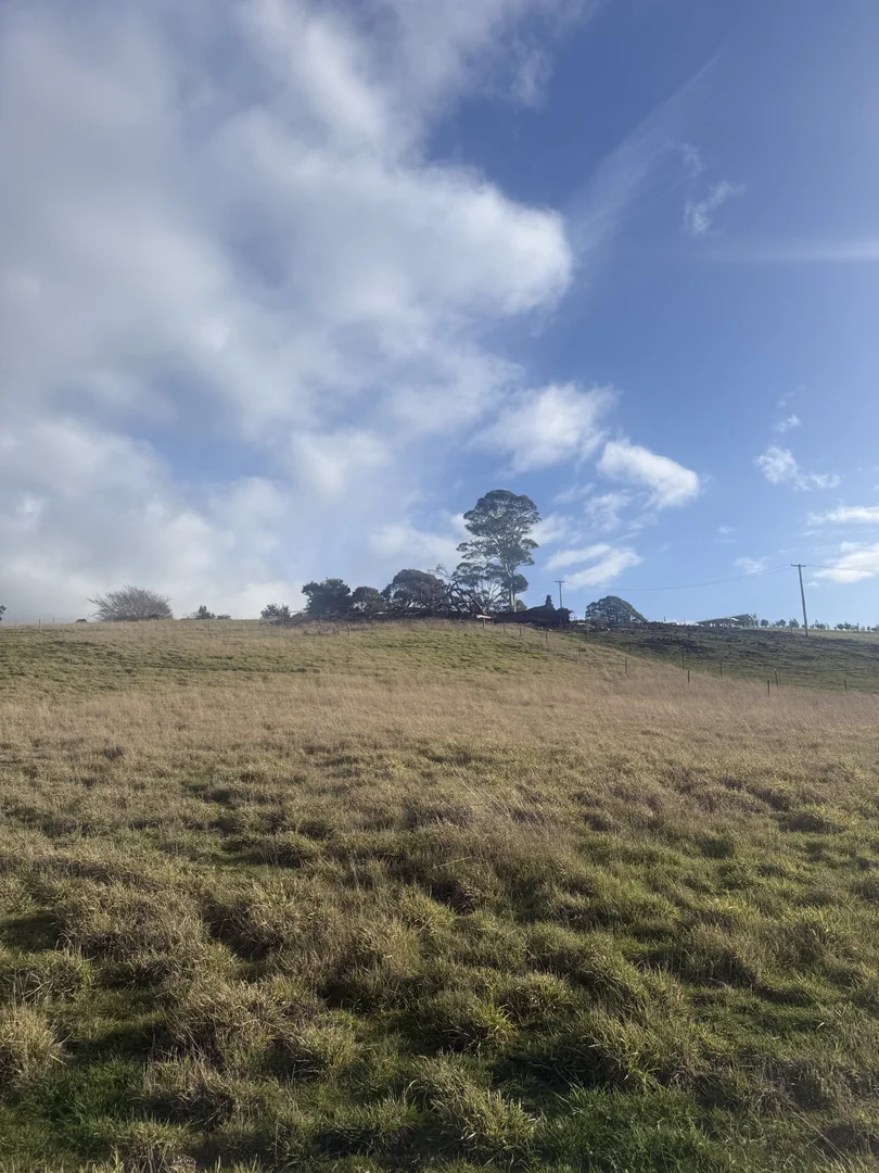 12 Quamby Brook Road - Image 4