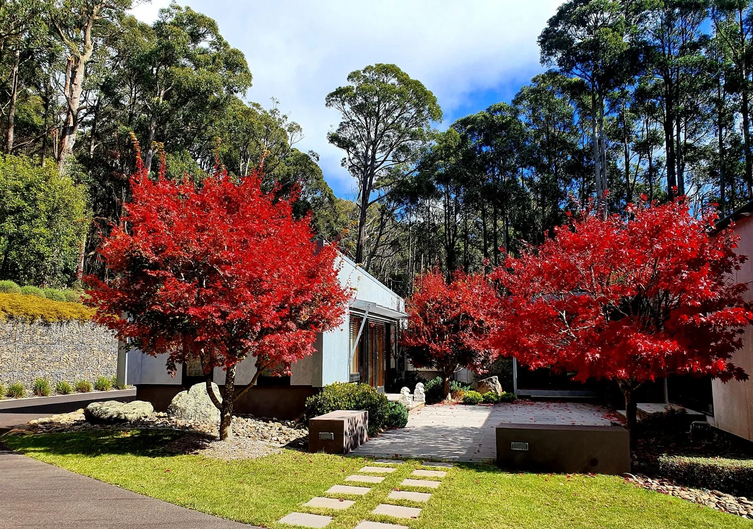 1275 Mount Macedon Road (1/29)