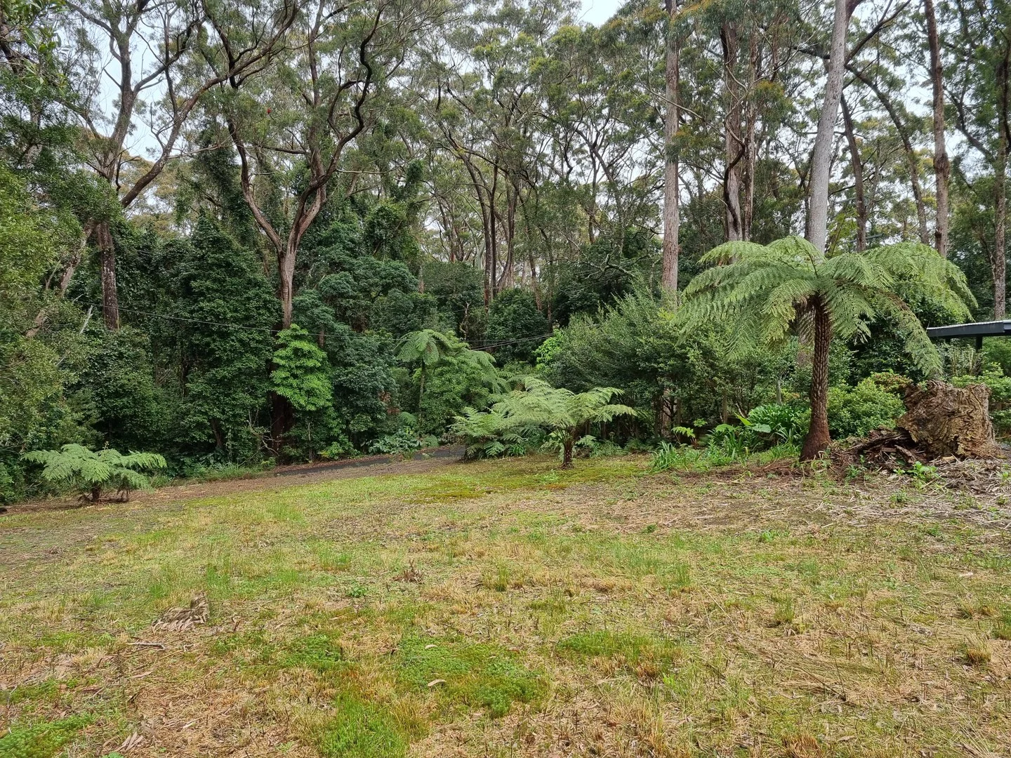 13 Banksia Road (1/4)