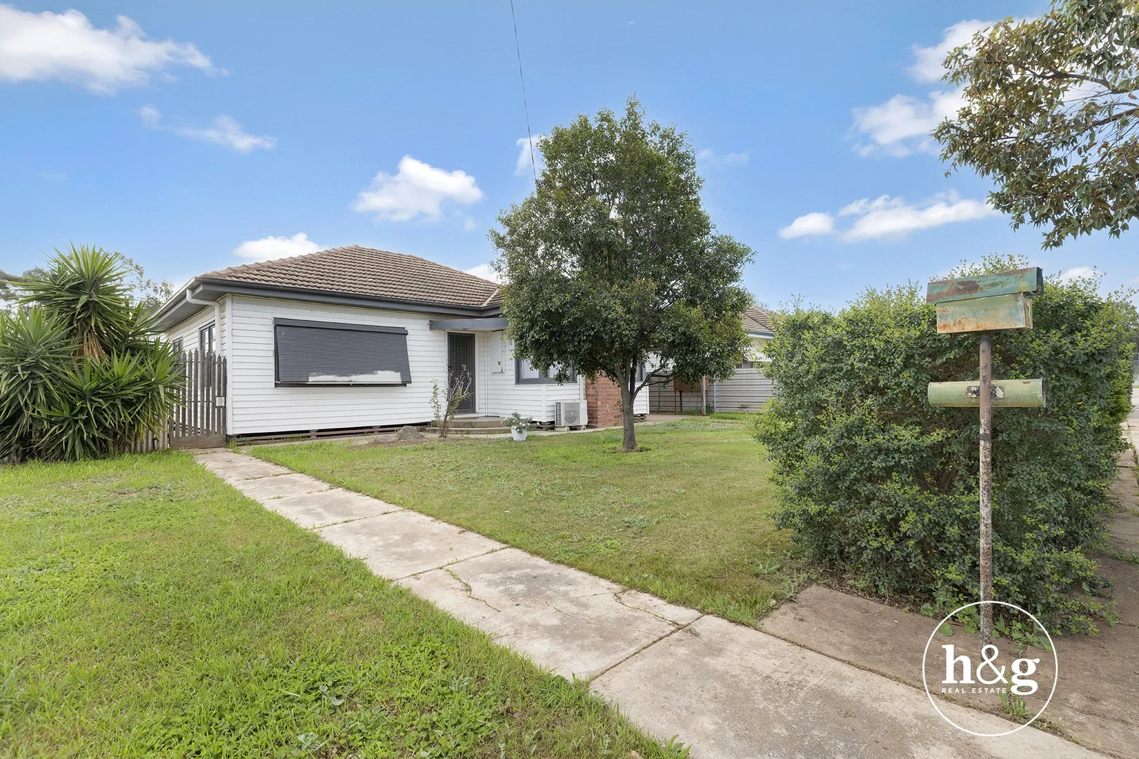 13 Cox Avenue (1/20)