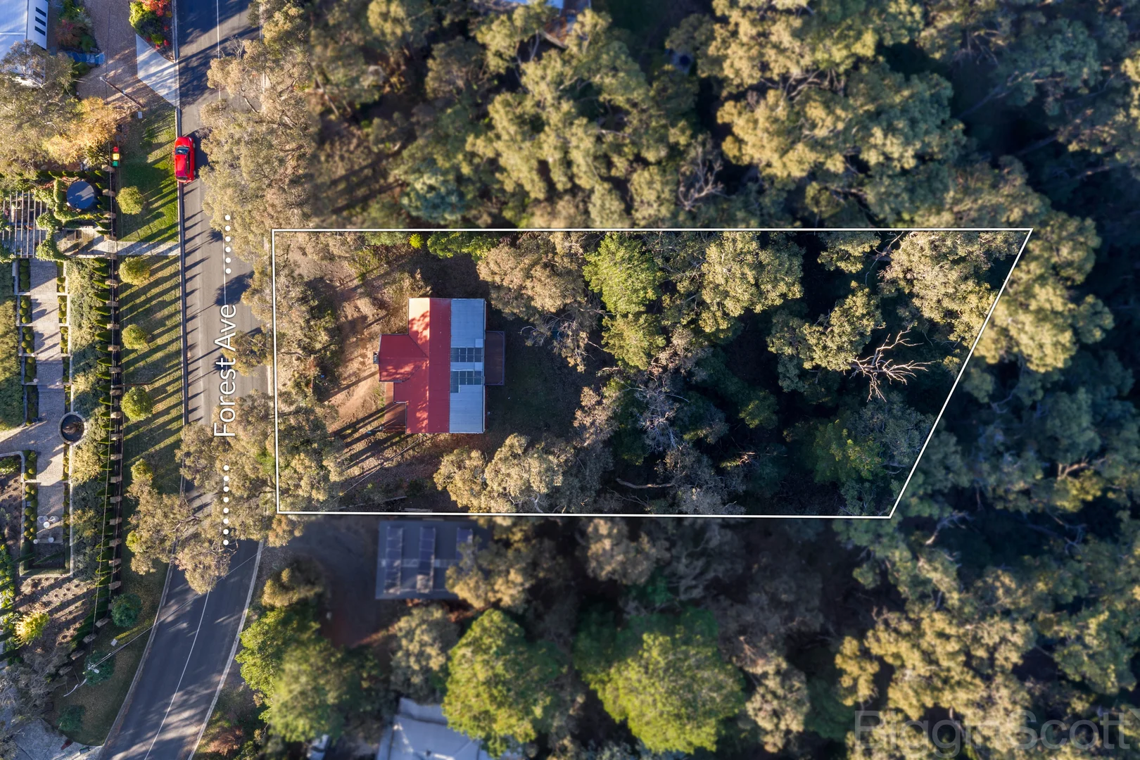 13 Forest Avenue - Image 2