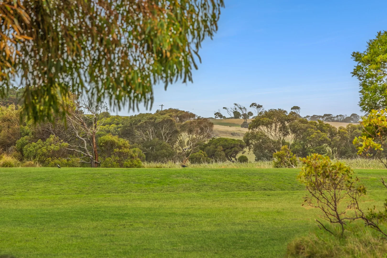 131 Bonnyvale Road - Image 4