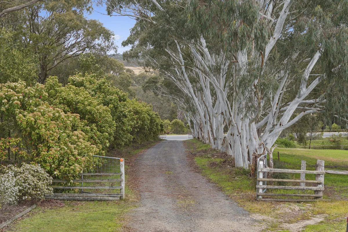 1349 Glenelg Highway - Image 3