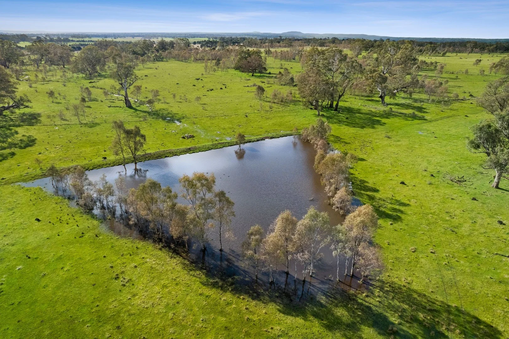 135 Andersons Lane - Image 4