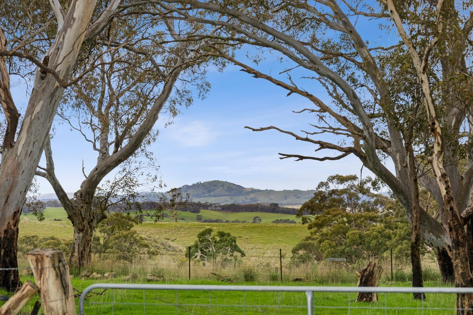 135 Andersons Lane - Image 3