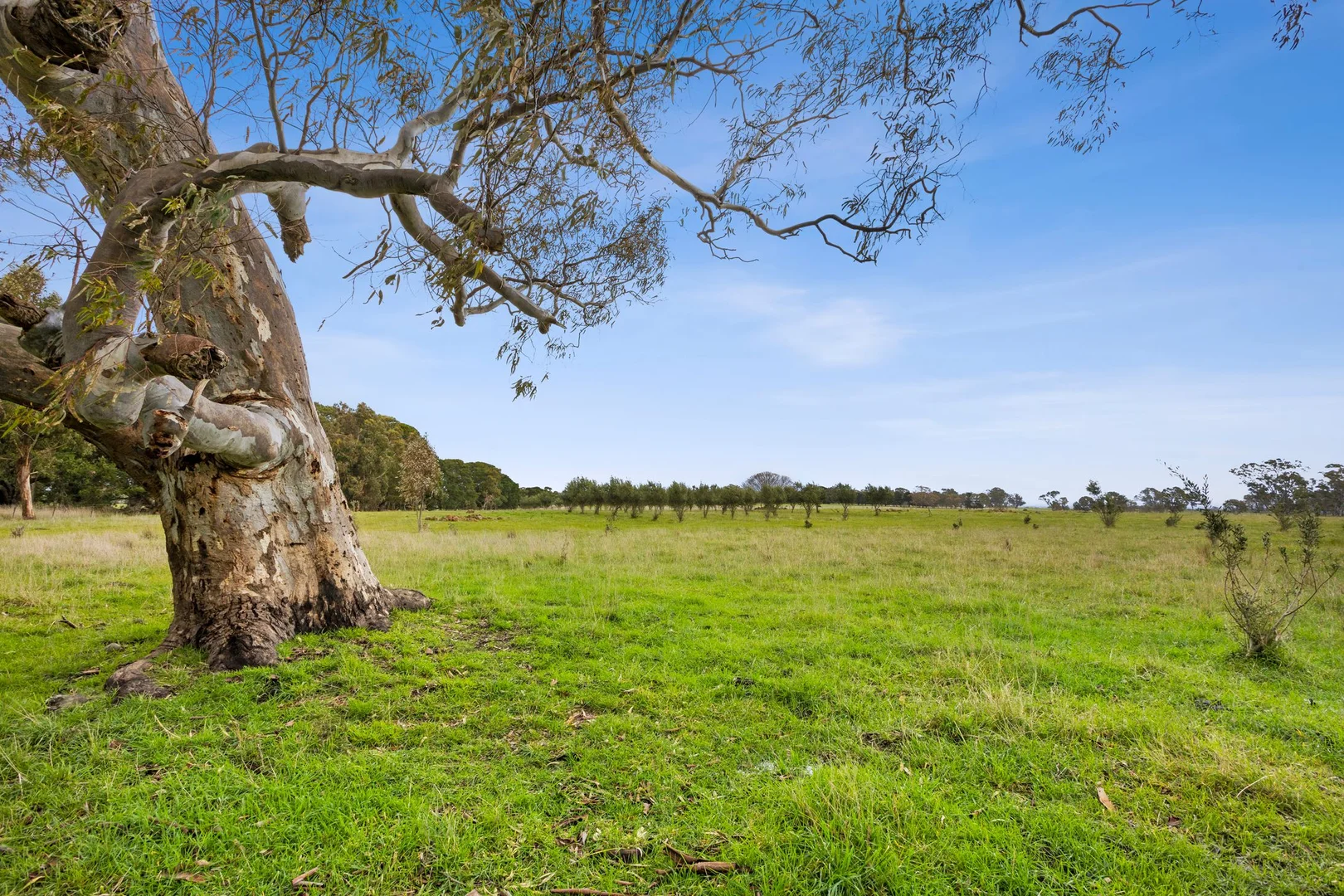 135 Andersons Lane - Image 2