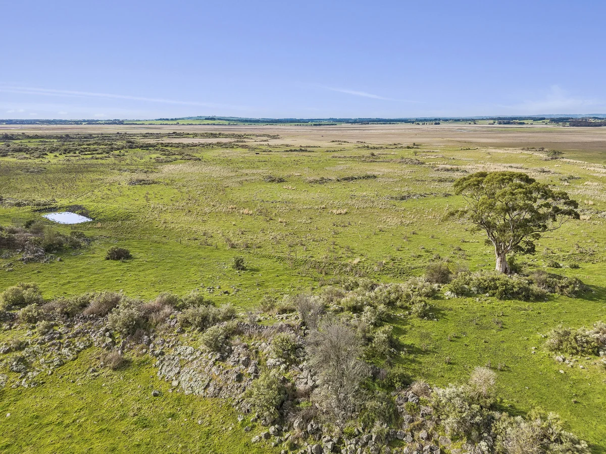 1351 Hawks Nest Road - Image 5
