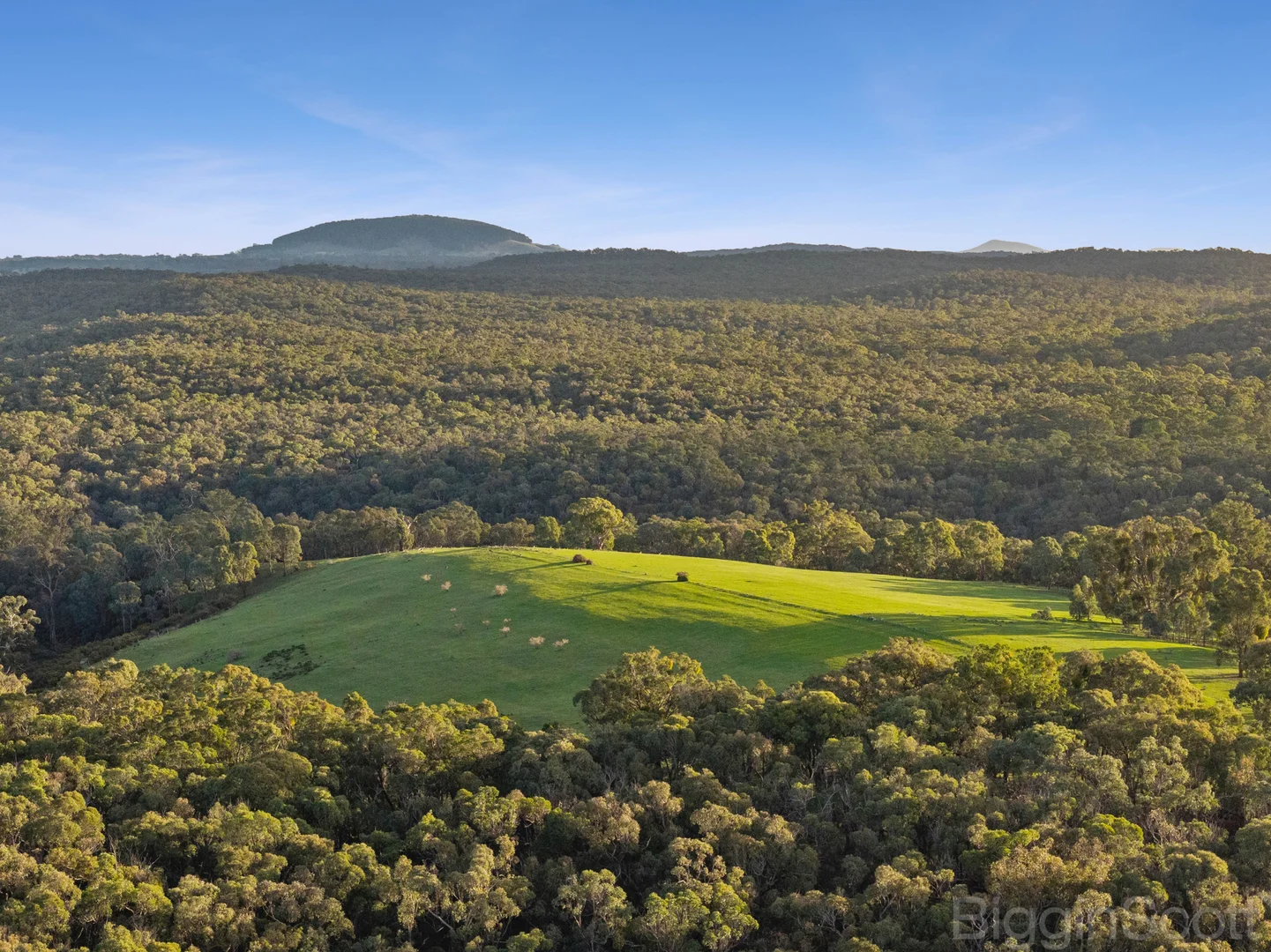 1355 Green Gully Road - Image 3