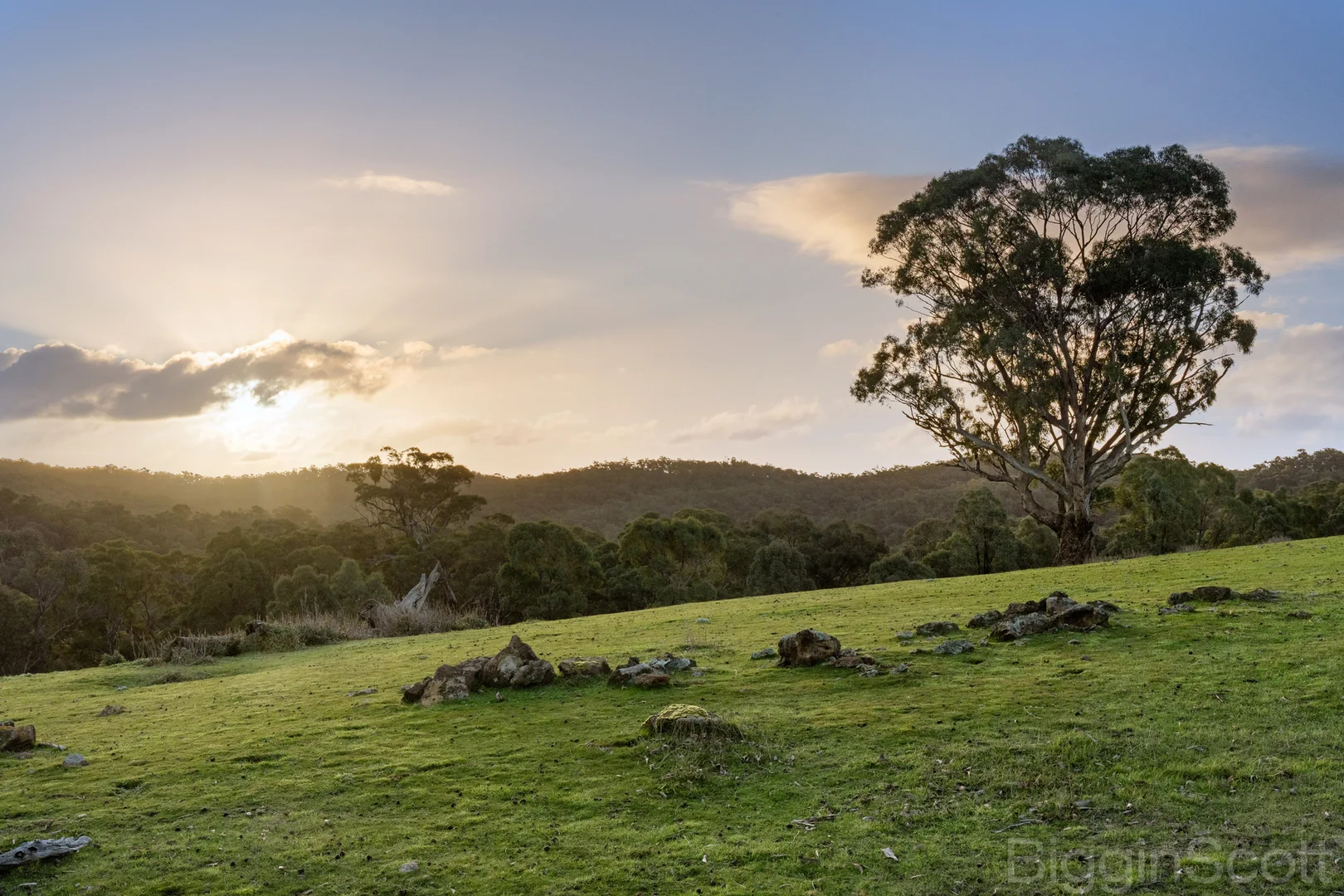 1355 Green Gully Road - Image 5