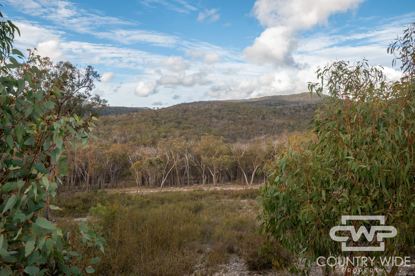140 Dellwood Road - Image 3