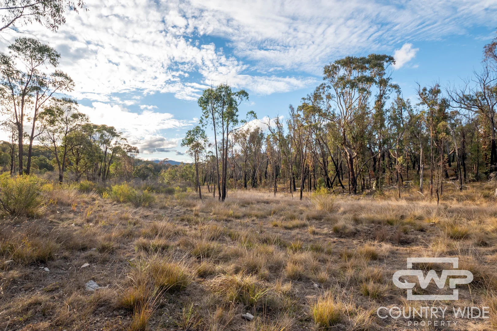 140 Dellwood Road - Image 2
