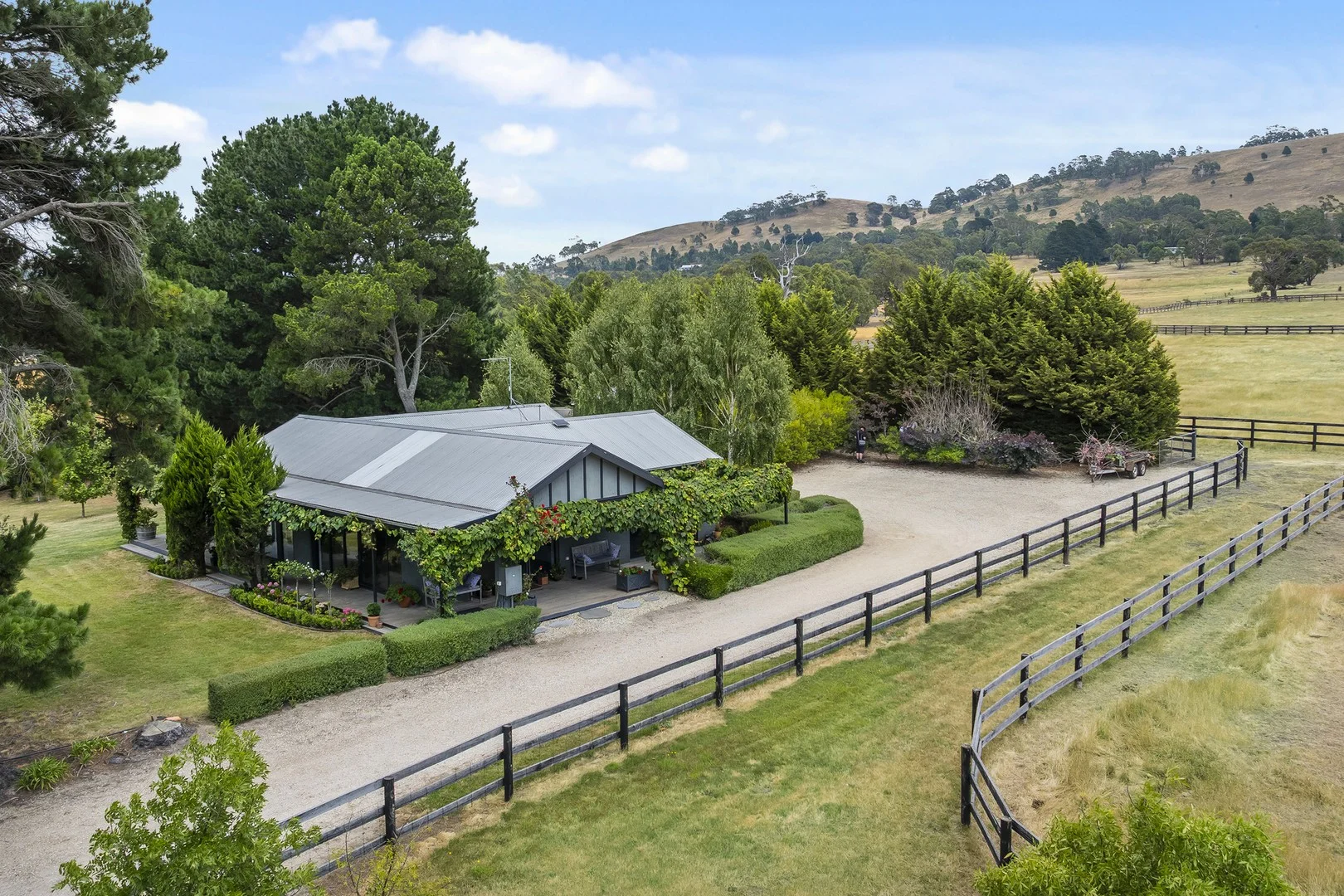 141 Fraser Road (1/25)