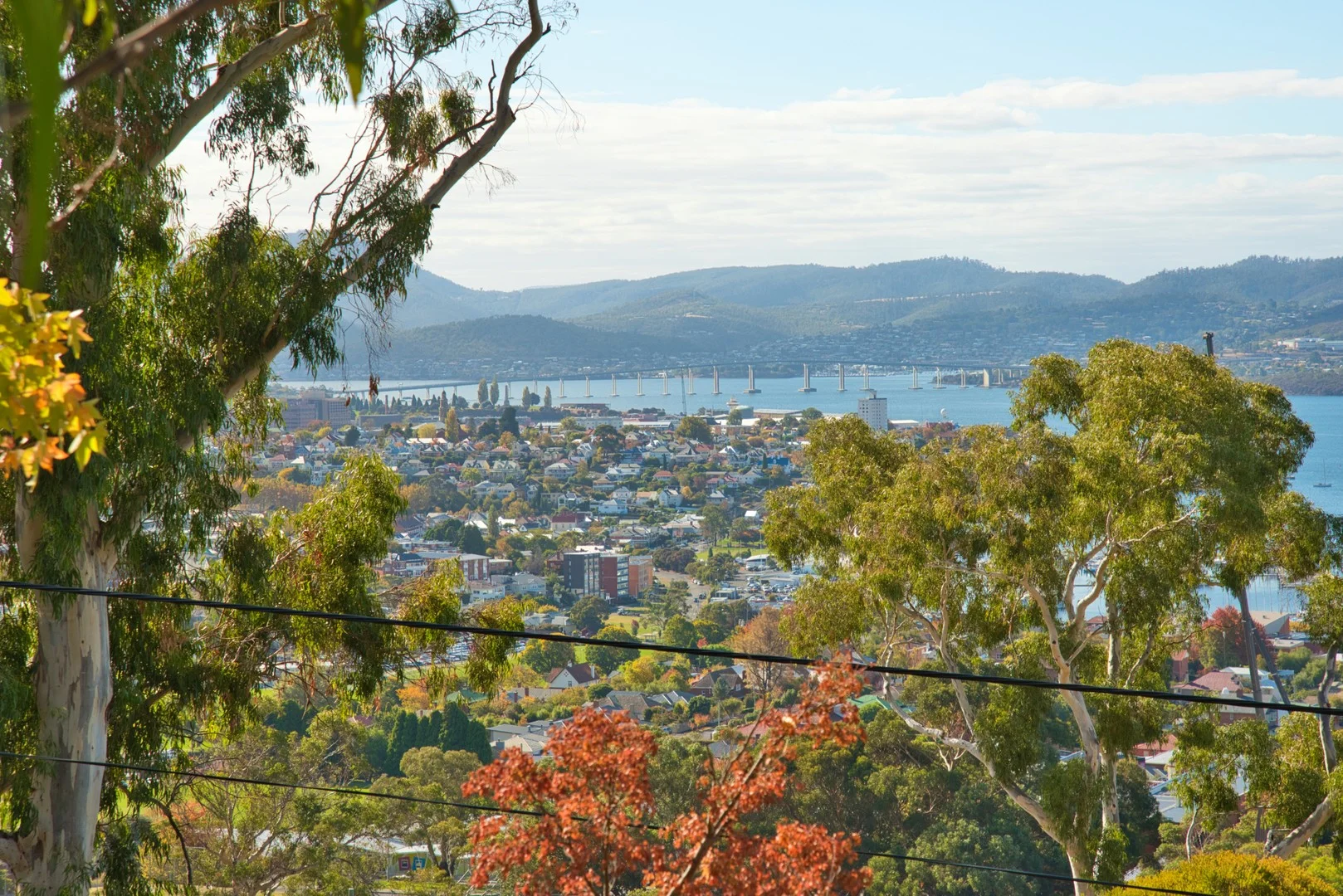 141 Nelson Road (1/15)