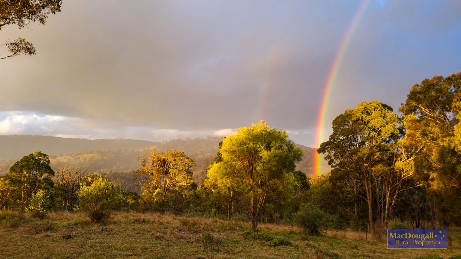 1420 Herbert Park Road - Image 5