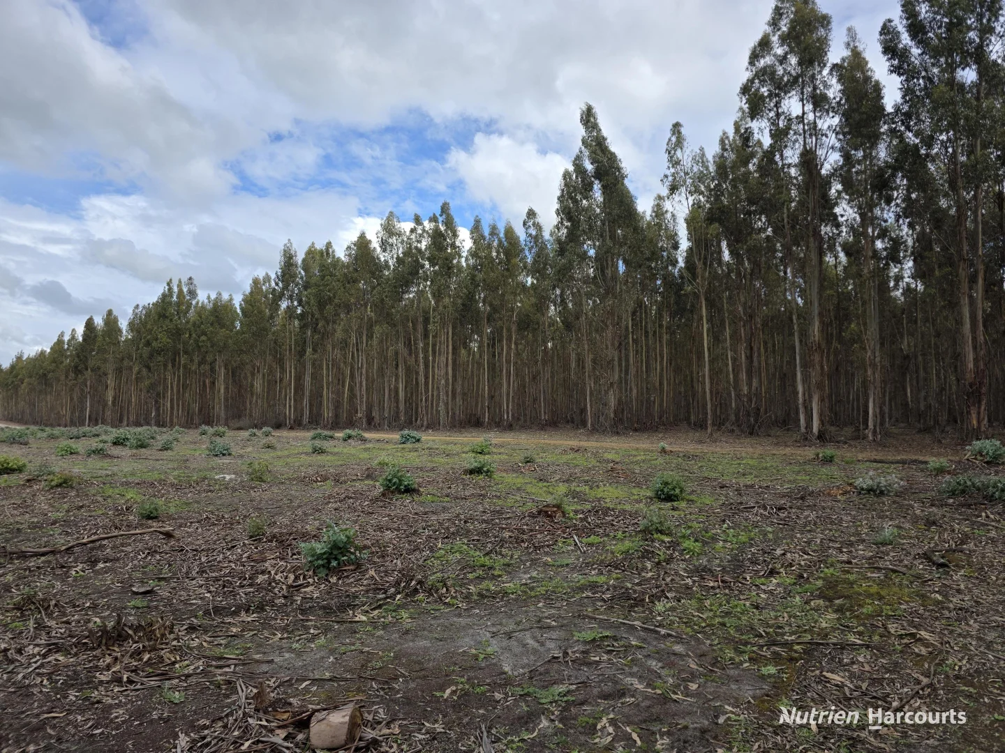 1458 Palmdale Road - Image 2