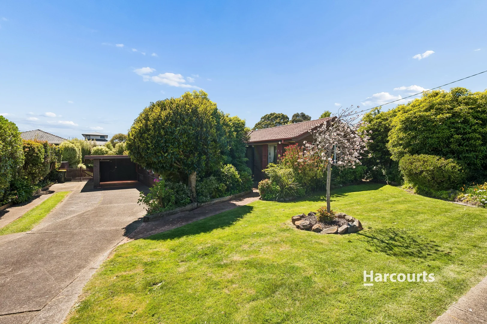 146 Upper George Street - Image 2