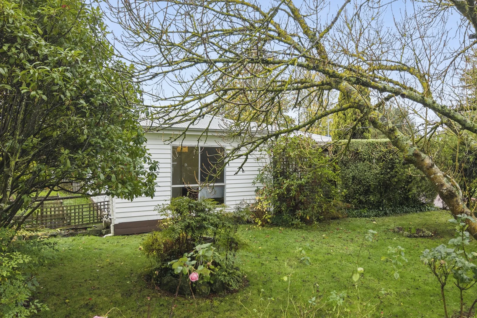 15 Bodkin Street (1/1)