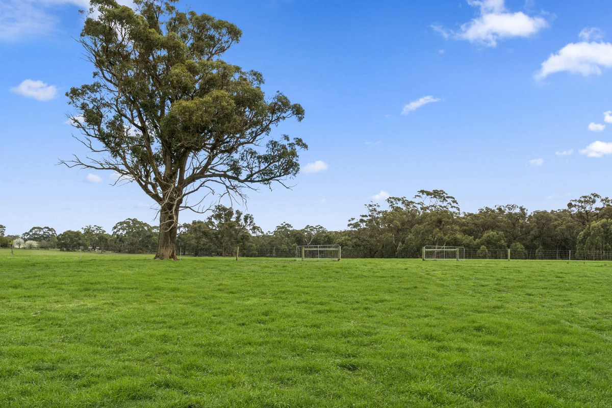 1526 Buninyong-Mt Mercer Road - Image 5