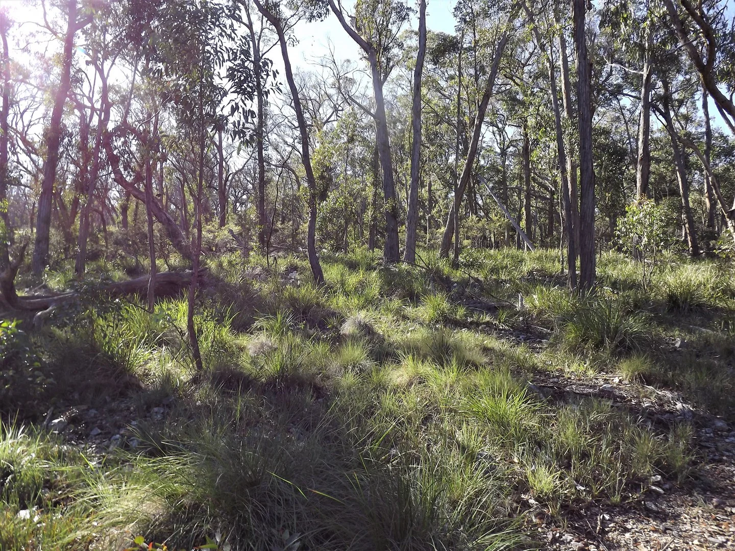 1527 New England Highway (1/9)
