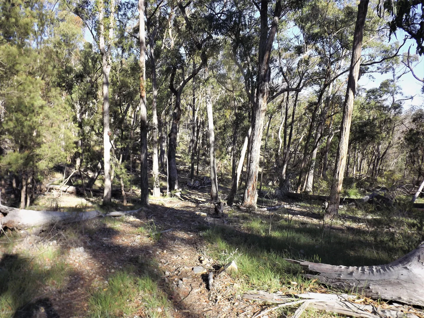 1527 New England Highway - Image 4
