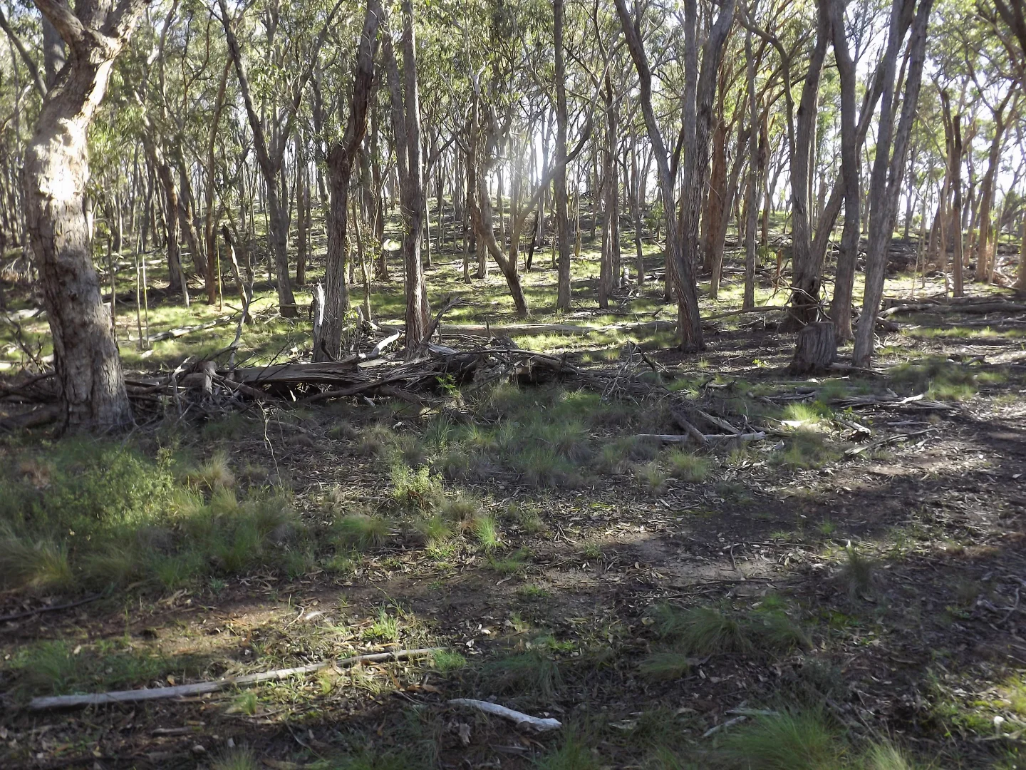 1527 New England Highway - Image 5