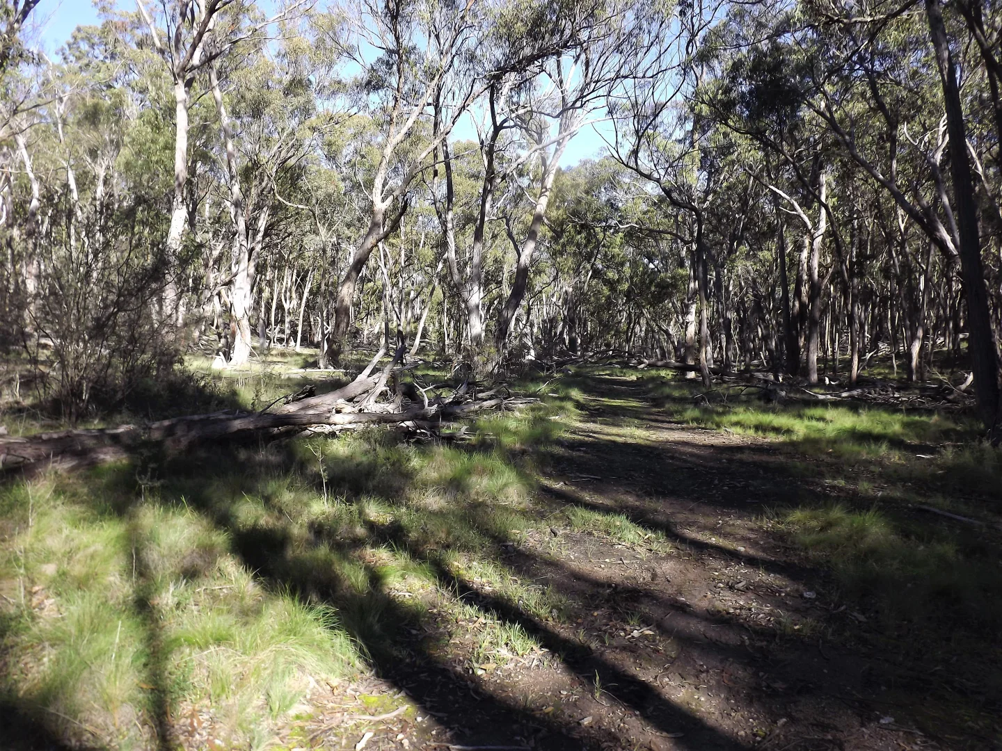 1527 New England Highway - Image 3