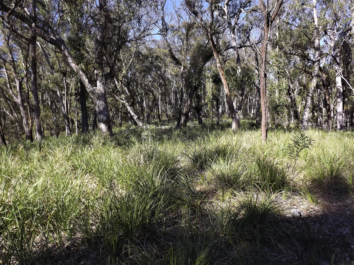 1527 New England Highway - Image 2