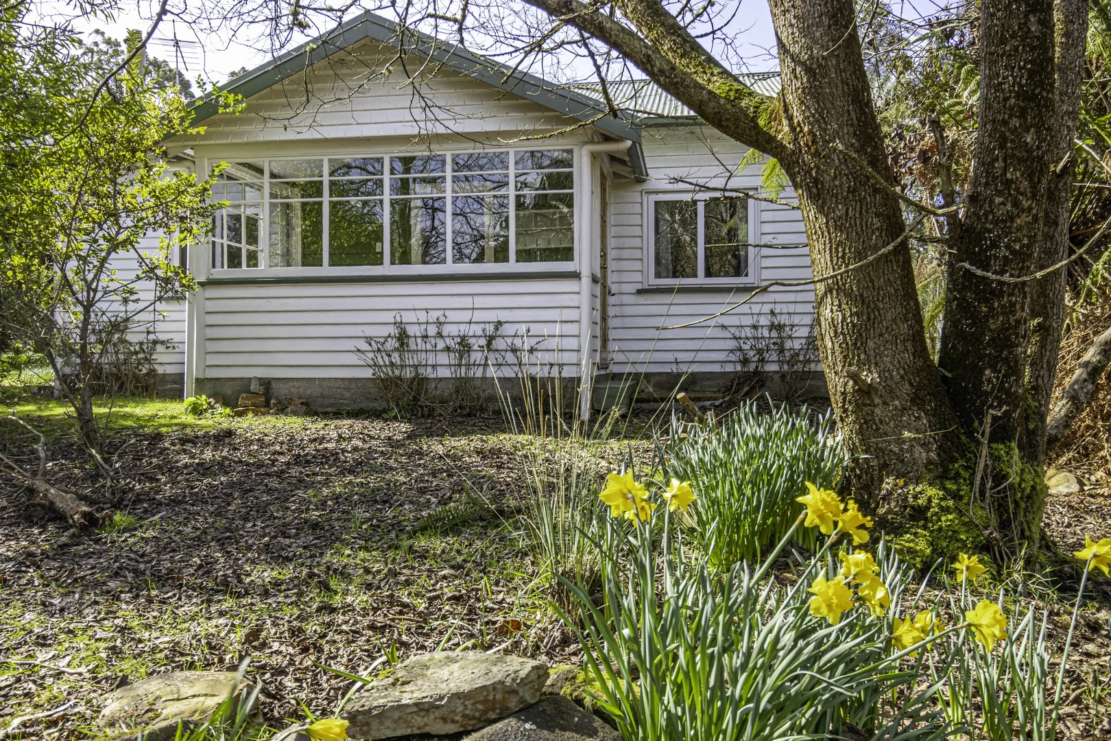 153 Police Point Road (1/23)