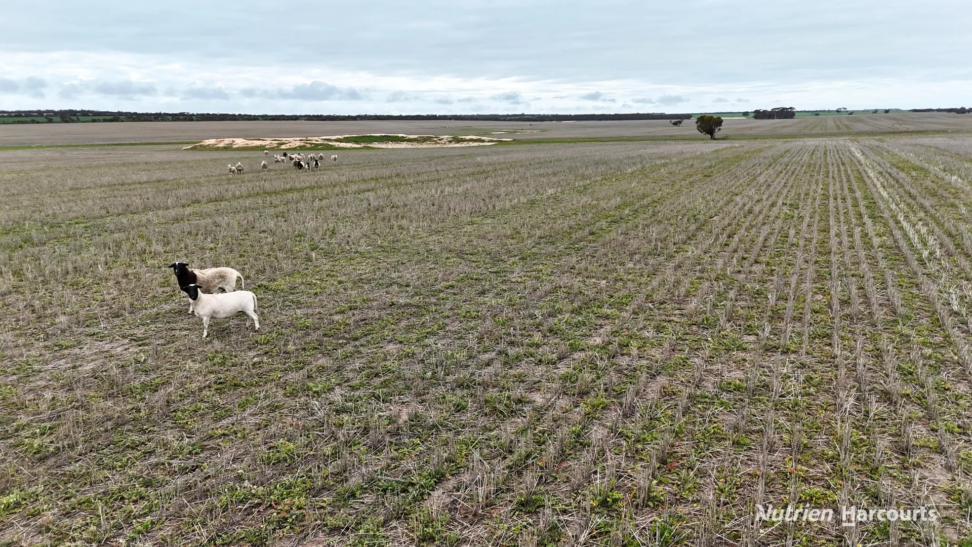 1530 Billericay Road East - Image 3