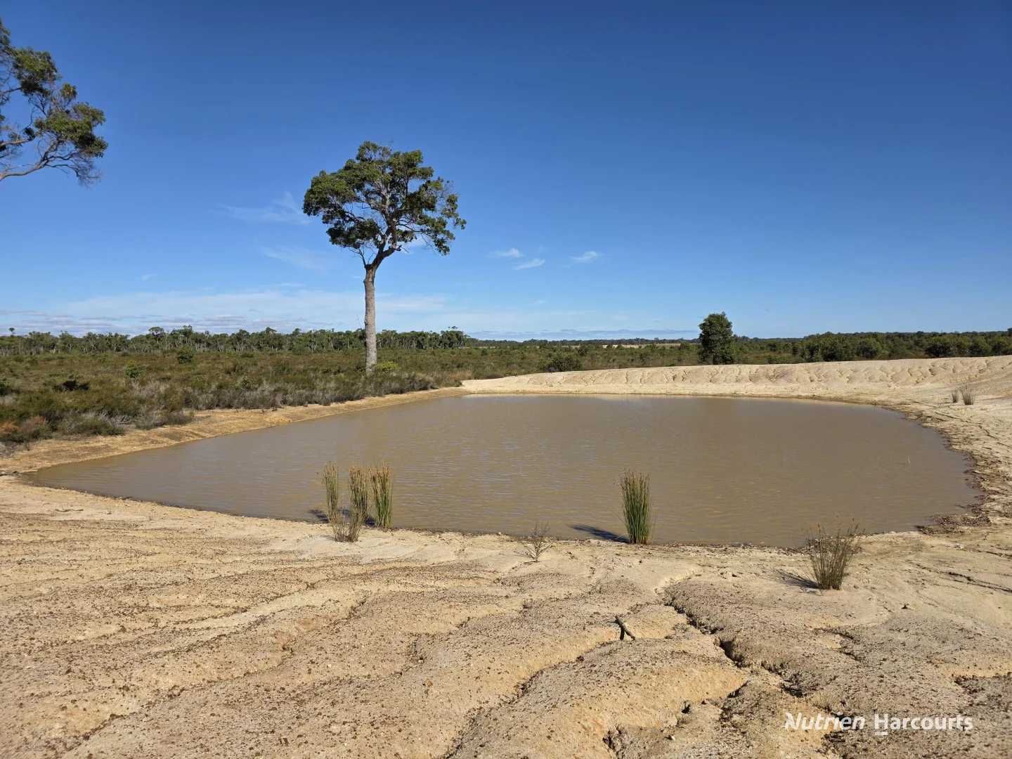 1578 Yellanup Road - Image 4