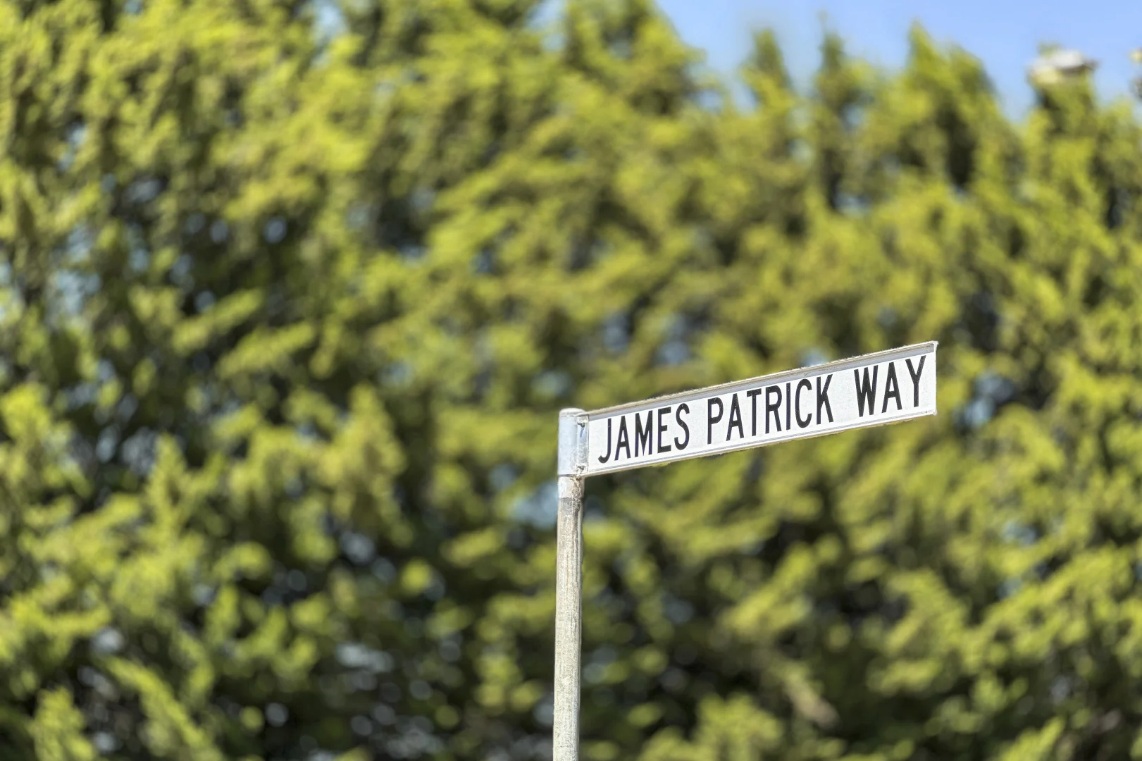 15B James Patrick Way - Image 5