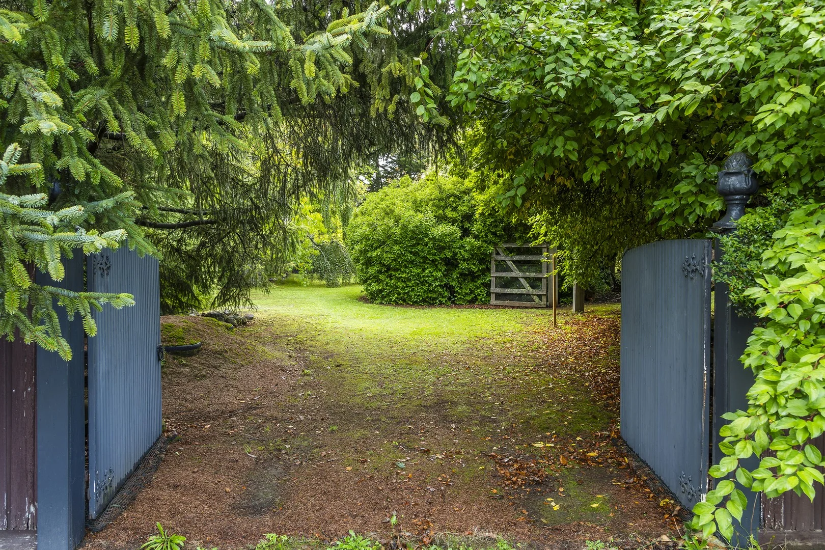 16 Morris Road (1/6)