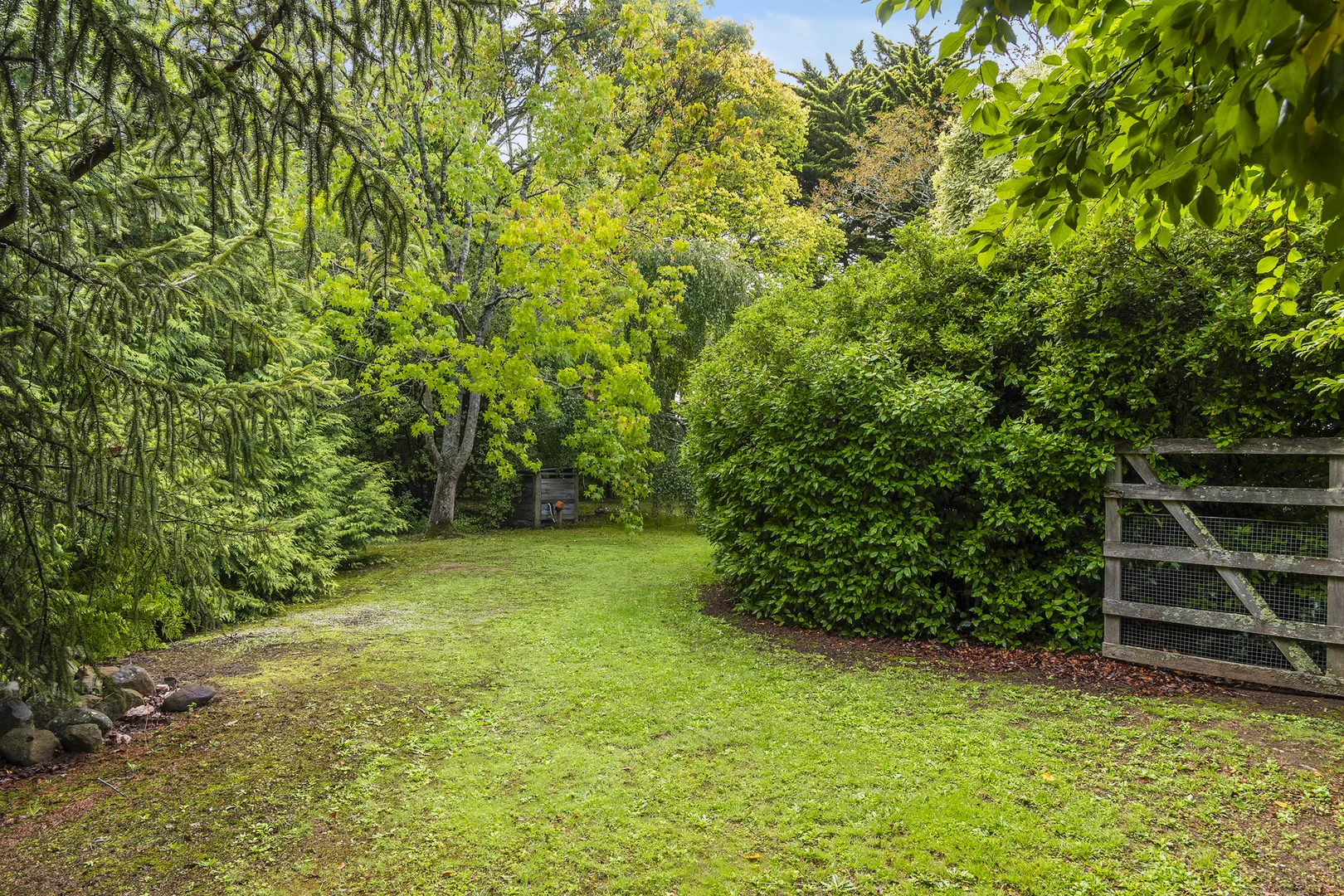 16 Morris Road - Image 4