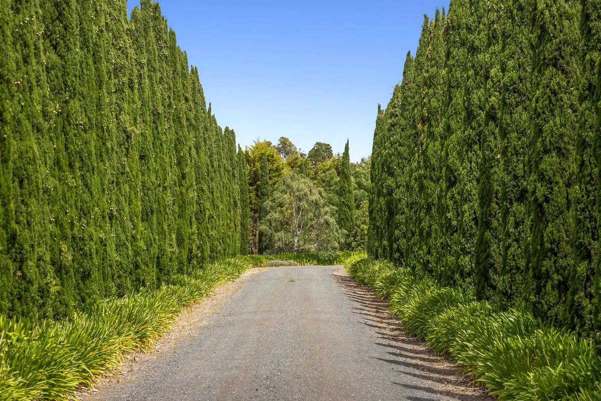 1619 Meredith - Shelford Road - Image 3