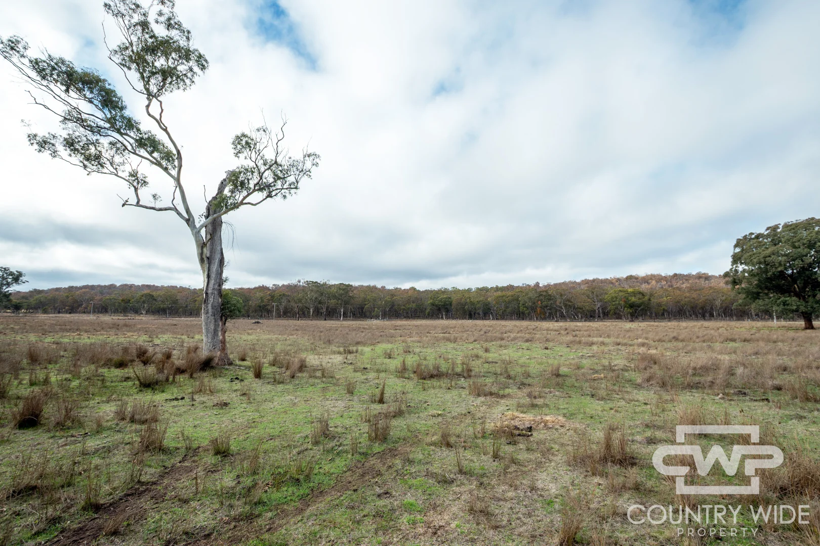 1642 Torrington Road - Image 5