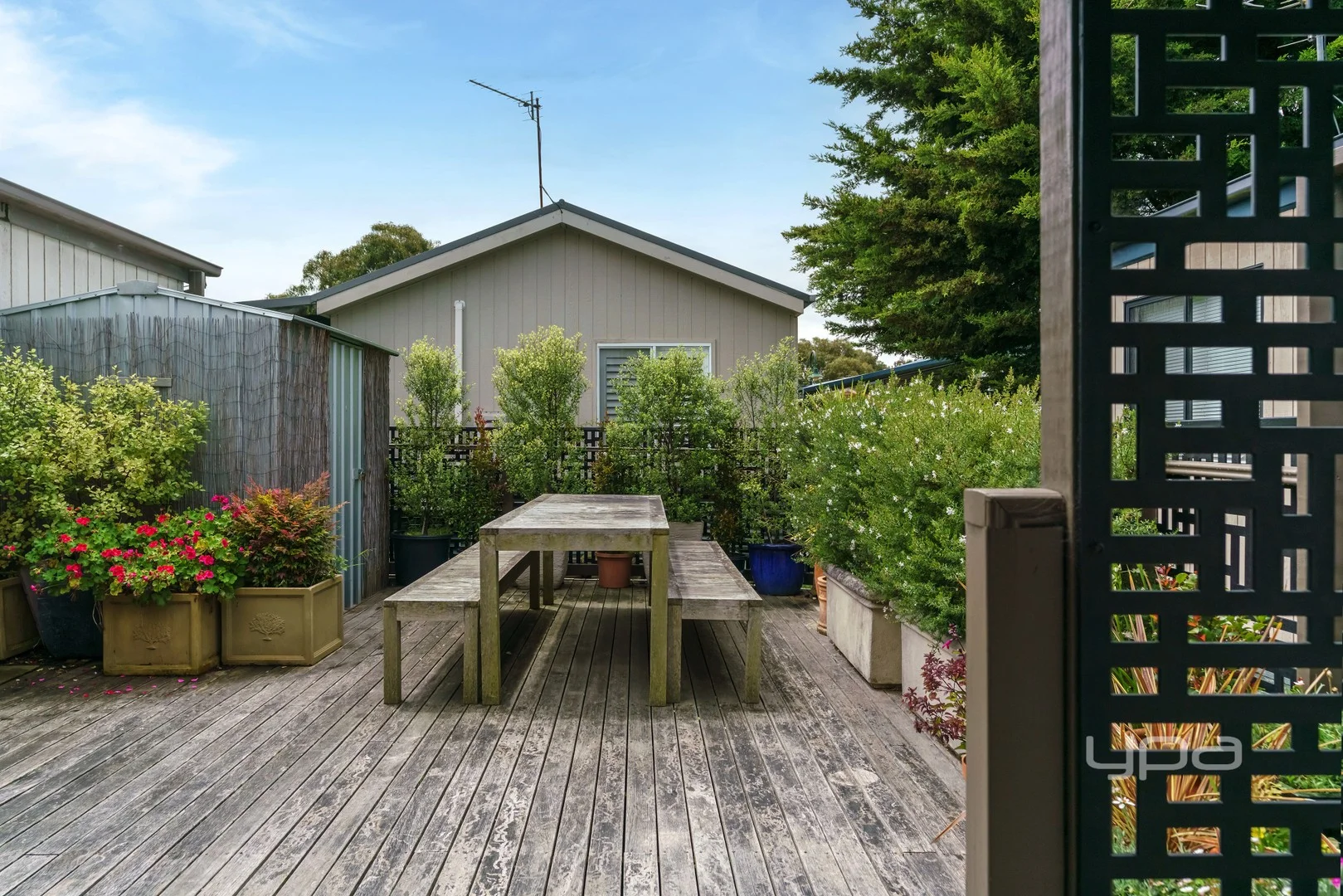 165/131 Nepean Highway (1/11)