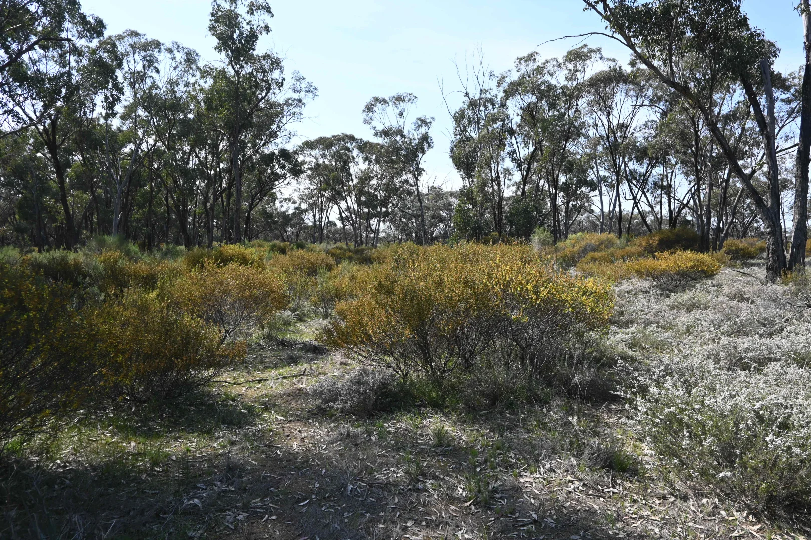 17 - Image 5