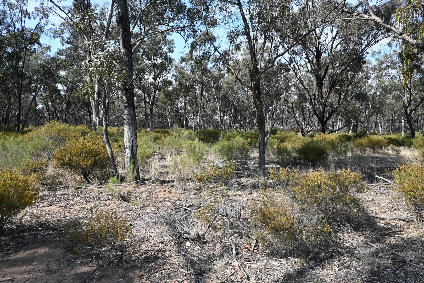17 - Image 2