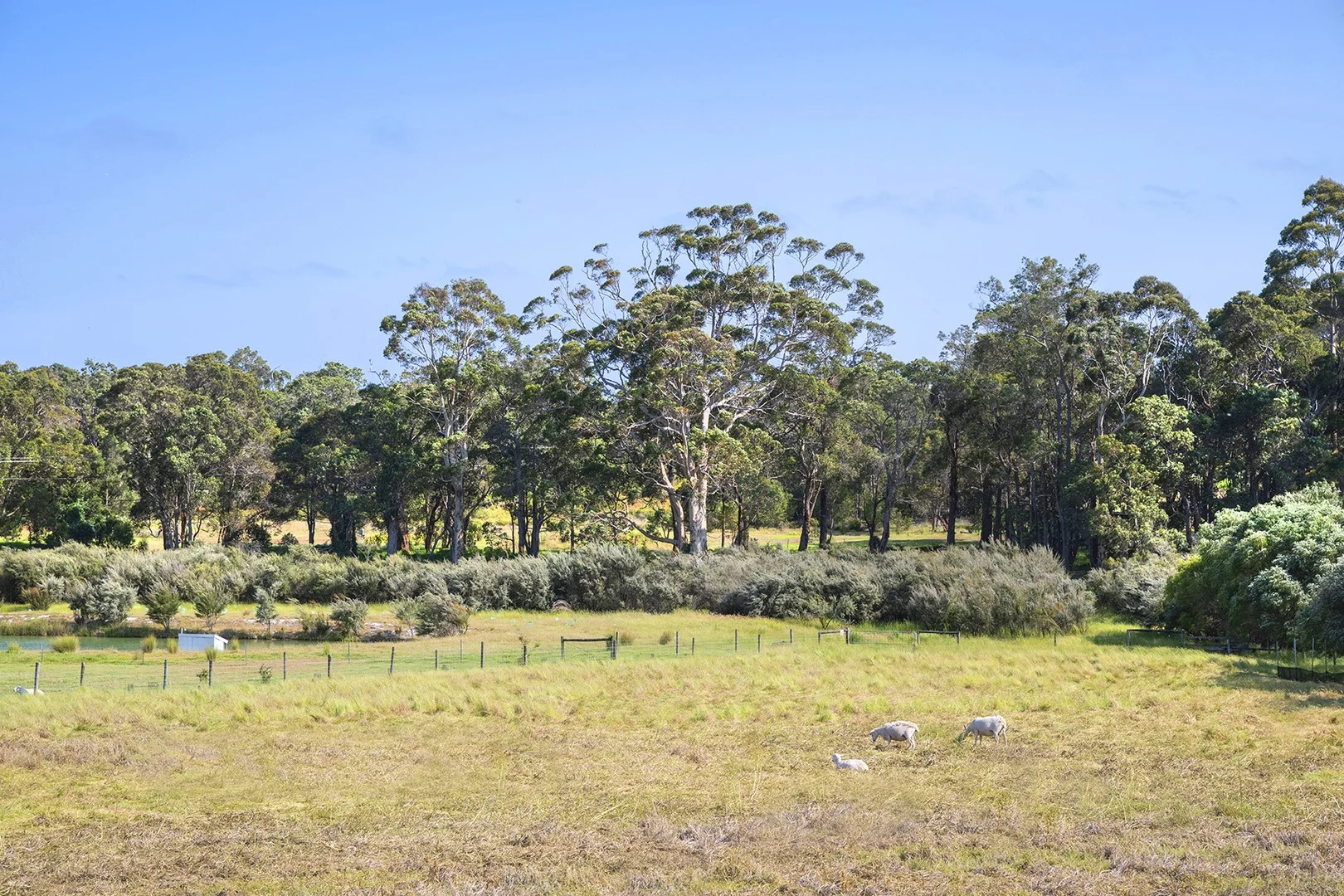 17 Gumtree Close (1/6)