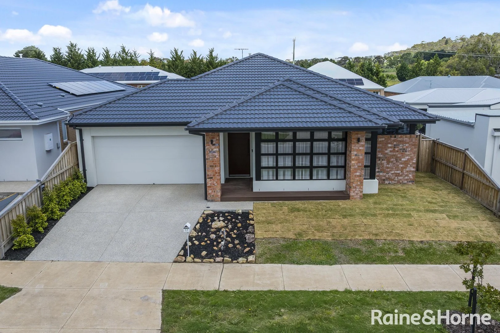 17 Nowlan Street (1/29)