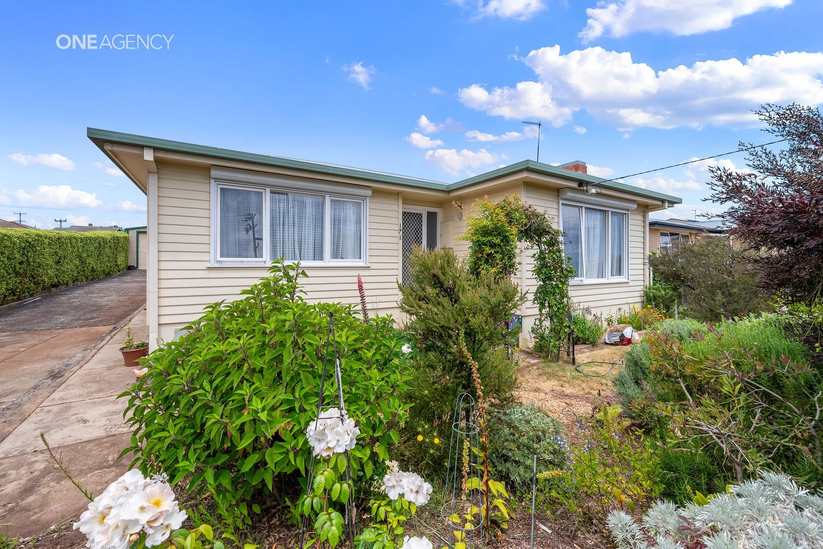 171 Madden Street (1/13)