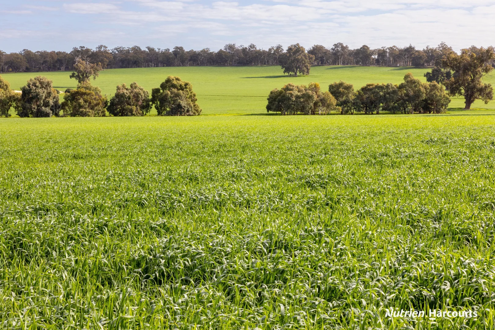 1722 Williams-Darkan Road - Image 3