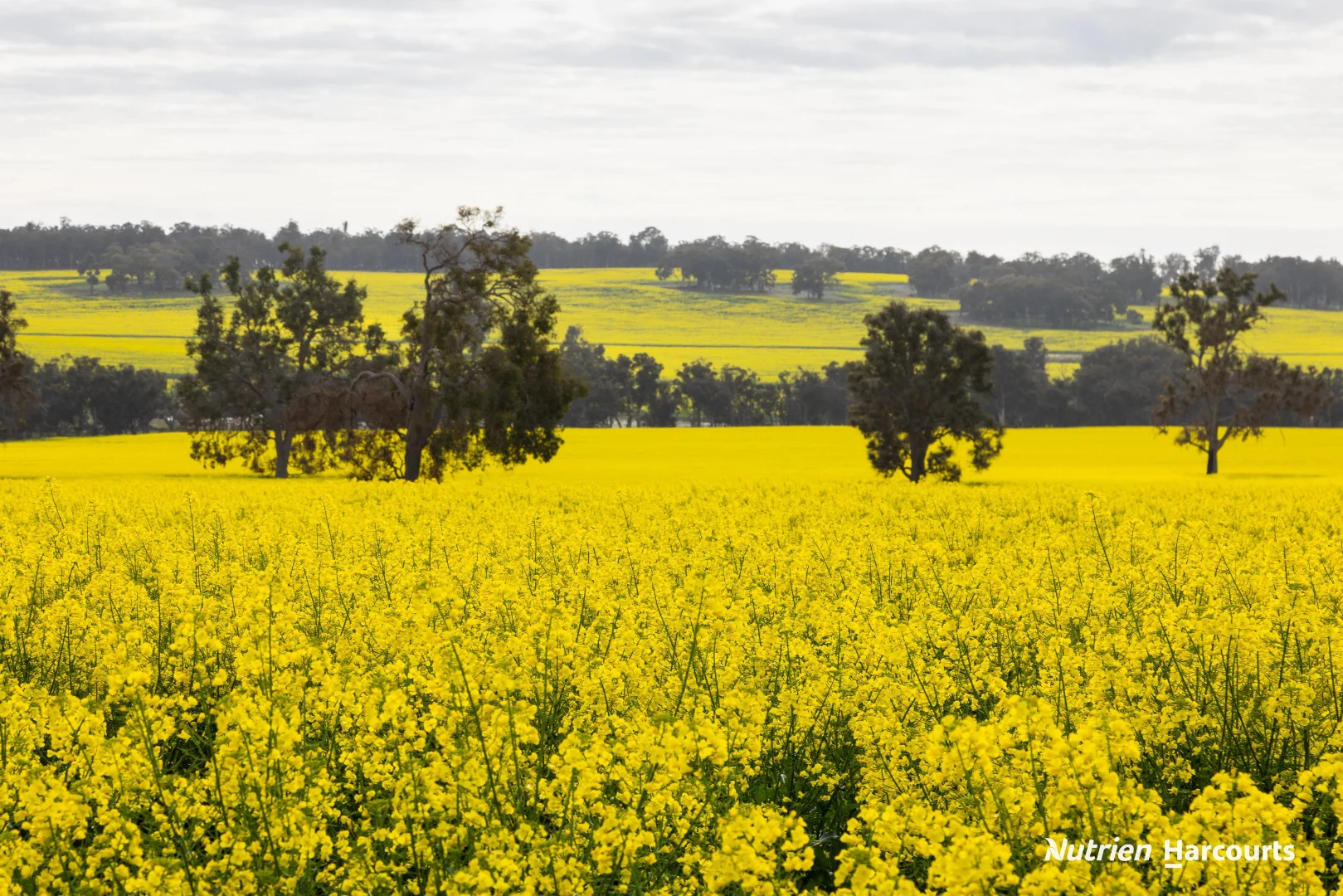 1722 Williams-Darkan Road - Image 2