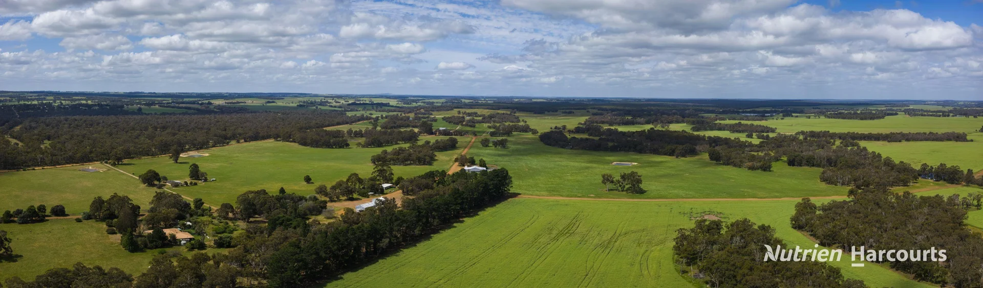 175 Racecourse Road - Image 4