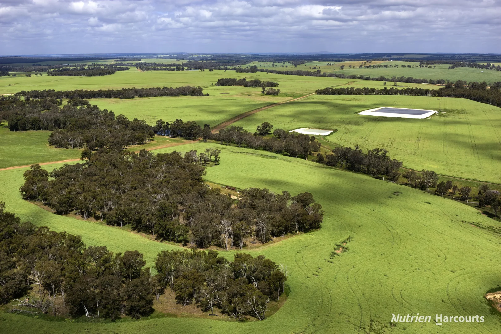 175 Racecourse Road - Image 5